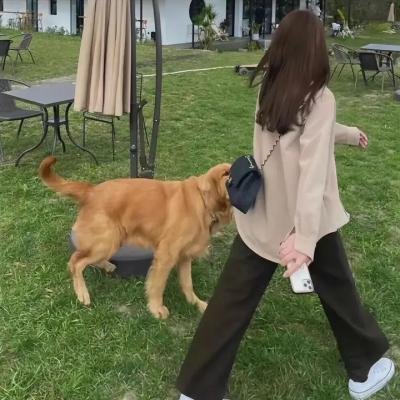 踏入黑暗