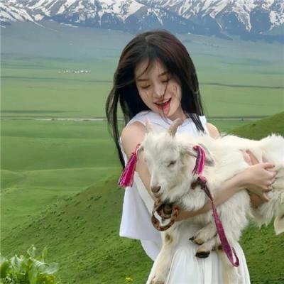 精灵高中之纽约
