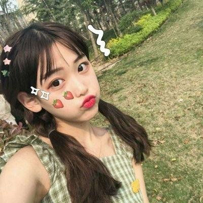 护宝风云
